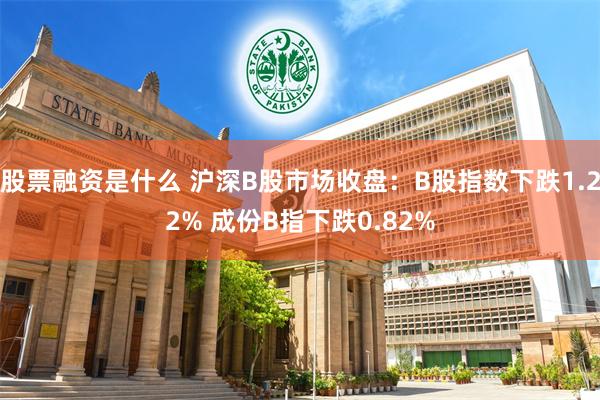 股票融资是什么 沪深B股市场收盘：B股指数下跌1.22% 成份B指下跌0.82%