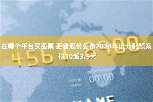 在哪个平台买股票 亚普股份公布2024年度分配预案 拟10派3.5元