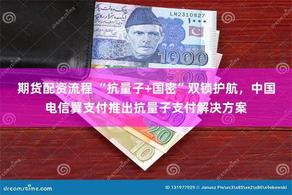 期货配资流程 “抗量子+国密”双锁护航，中国电信翼支付推出抗