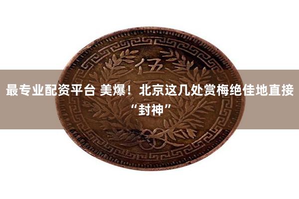 最专业配资平台 美爆！北京这几处赏梅绝佳地直接“封神”