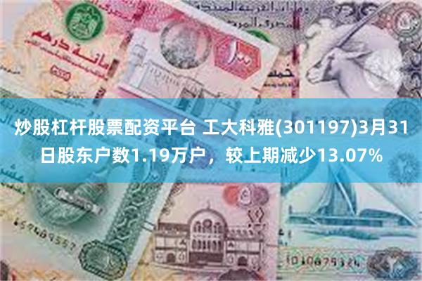 炒股杠杆股票配资平台 工大科雅(301197)3月31日股东