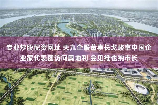 专业炒股配资网址 天九企服董事长戈峻率中国企业家代表团访问奥