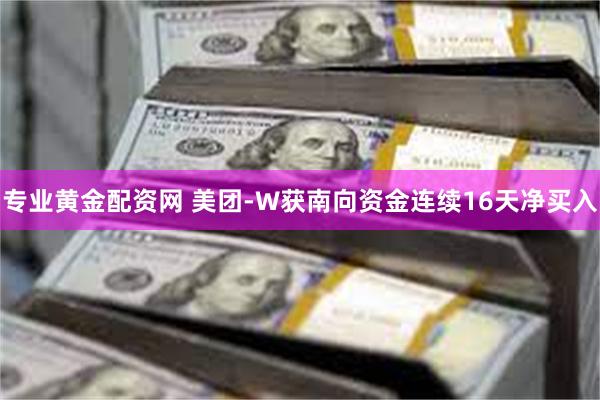 专业黄金配资网 美团-W获南向资金连续16天净买入