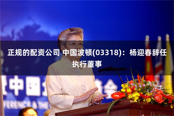 正规的配资公司 中国波顿(03318)：杨迎春辞任执行董事