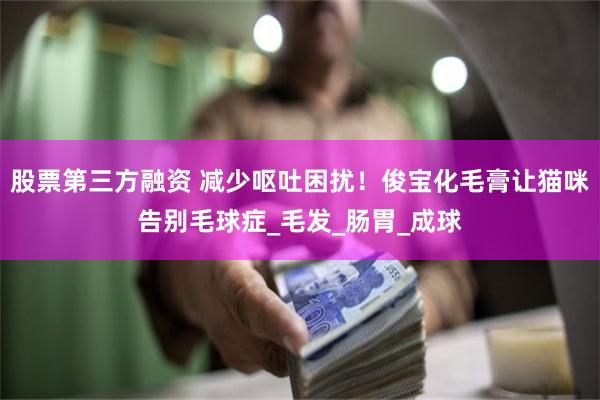 股票第三方融资 减少呕吐困扰！俊宝化毛膏让猫咪告别毛球症_毛