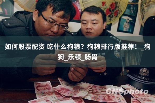 如何股票配资 吃什么狗粮？狗粮排行版推荐！_狗狗_乐顿_肠胃