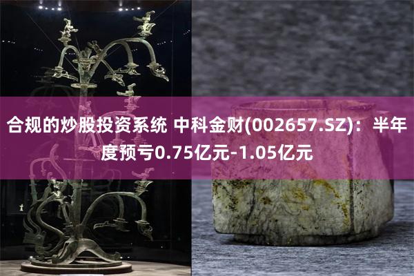 合规的炒股投资系统 中科金财(002657.SZ)：半年度预