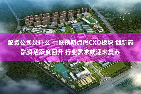 配资公司是什么 中报预期点燃CXO板块 创新药融资活跃度回升