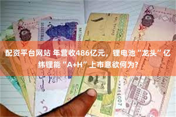 配资平台网站 年营收486亿元，锂电池“龙头”亿纬锂能“A+