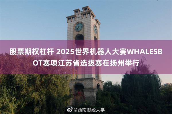 股票期权杠杆 2025世界机器人大赛WHALESBOT赛项江