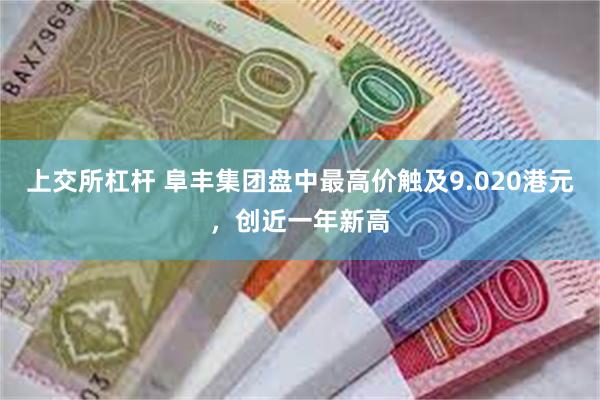 上交所杠杆 阜丰集团盘中最高价触及9.020港元，创近一年新