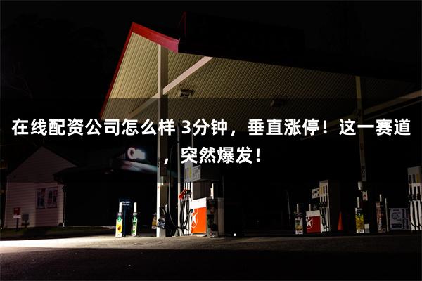 在线配资公司怎么样 3分钟，垂直涨停！这一赛道，突然爆发！