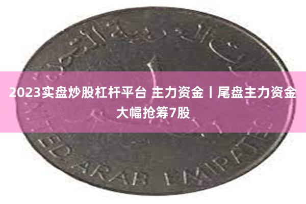 2023实盘炒股杠杆平台 主力资金丨尾盘主力资金大幅抢筹7股