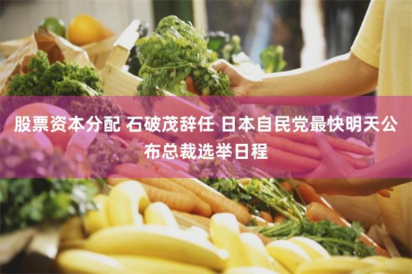 股票资本分配 石破茂辞任 日本自民党最快明天公布总裁选举日程